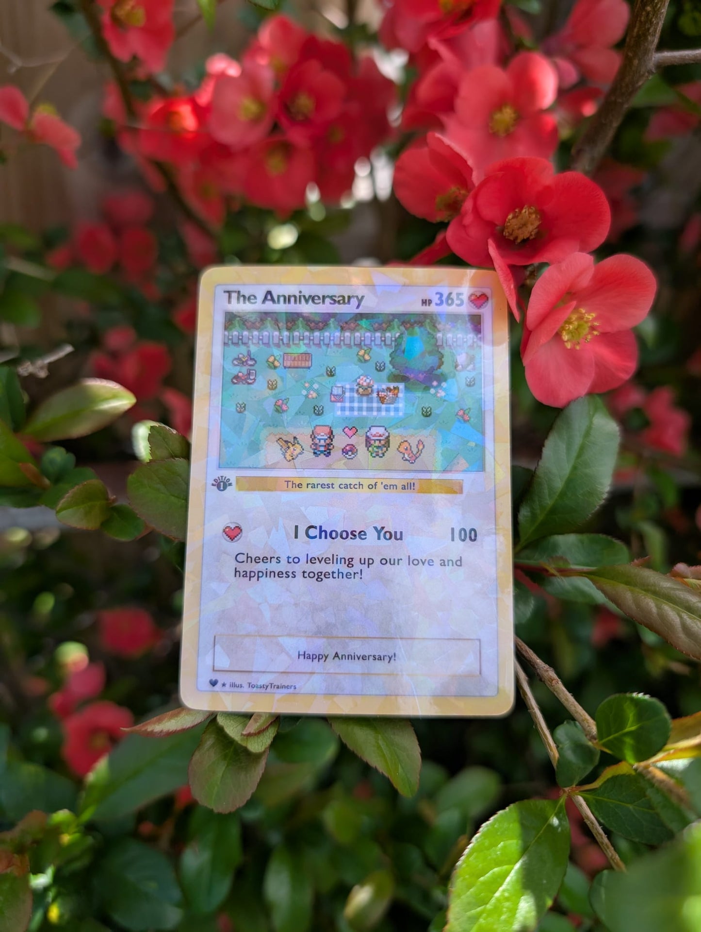 Happy Anniversary – Romantic Picnic / Valentines Day